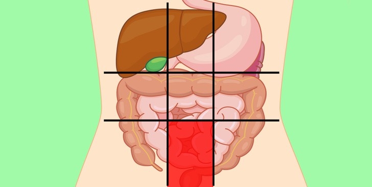 9 vị trí đau bụng nói lên điều gì về sức khỏe của bạn?